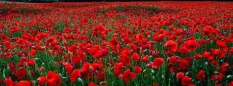 Bir �iir ve bir a�k hik�yesi..