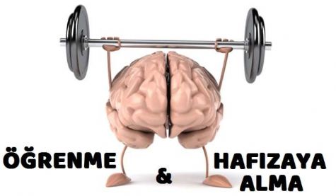 ��RENME VE HAFIZAYA ALMA