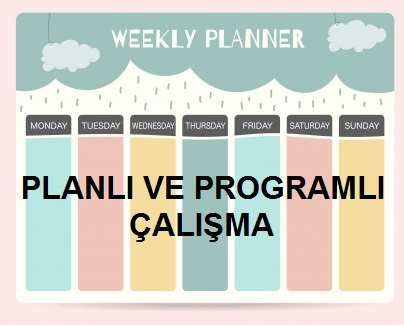PLANLI VE PROGRAMLI �ALI�MA
