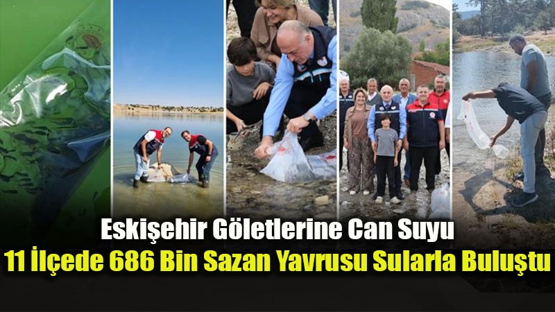 Bolu'da �retildi, Eski�ehir Sular�na B�rak�ld�: 11 �l�ede S�rd�r�lebilir Bal�k��l�k Ad�m�