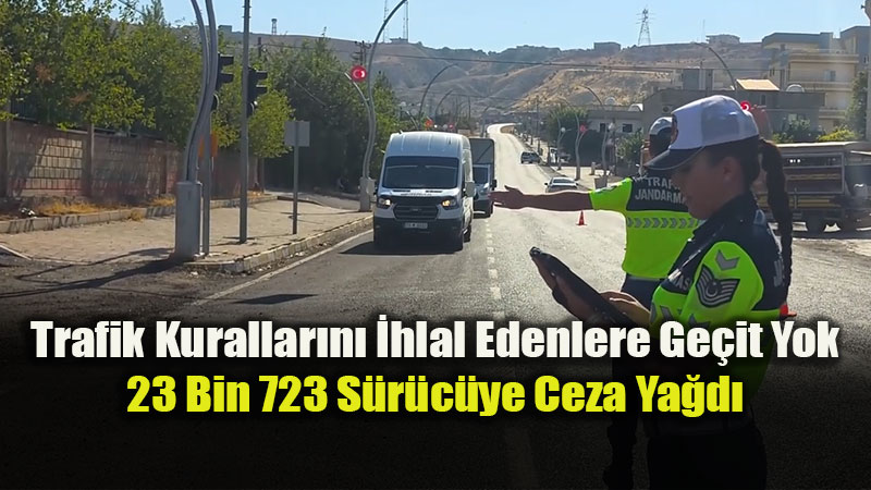 Eski�ehir'de 1 Ayda 455 S�r�c�n�n Ehliyetine El Konuldu