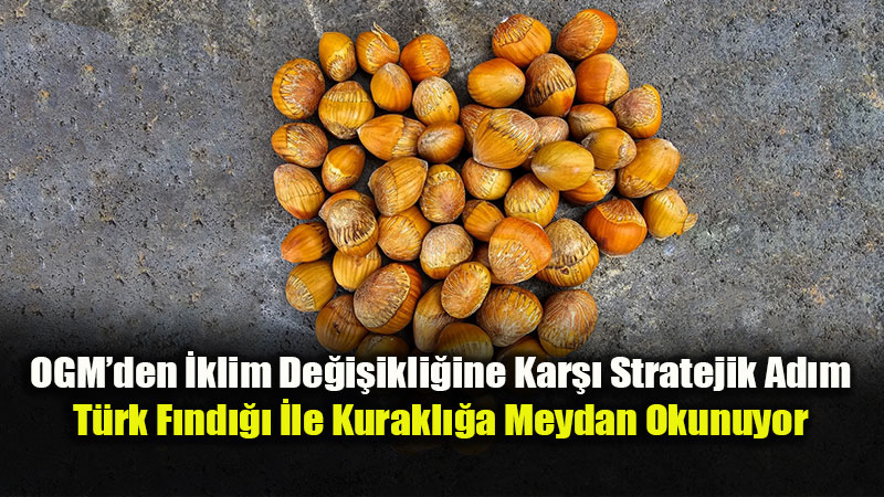 Seben F�nd��� Hem Ormana Hem Peyzaja Umut Oldu