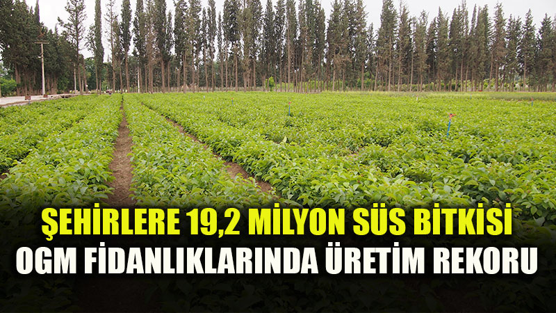 T�rkiye'nin Peyzaj �htiyac�na OGM G�vencesi: 19,2 Milyon Fidan �ehirlerle Bulu�uyor