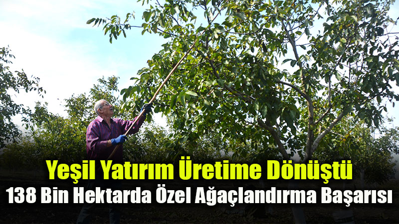 Orman Genel M�d�rl���'nden K�rsal Ekonomiye Dev Katk�: �zel A�a�land�rma Sahalar�nda Hasat Zaman�