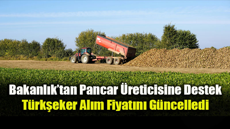 Bakanl�k�tan Pancar �reticisine Destek: T�rk�eker Al�m Fiyat�n� G�ncelledi