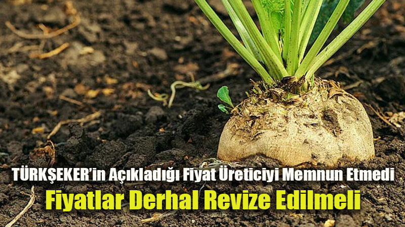 Girdi Maliyetleri Katland�, Pancar Fiyat� Yetersiz Kald�: Ziraat Odalar�ndan Ortak Tepki
