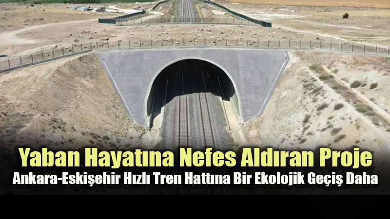 K�z�l Geyikten Va�a�a Do�al Ya�am Korunuyor: Demiryollar�nda Ekolojik D�n���m Hamlesi