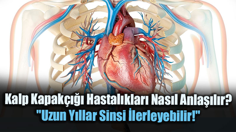 Kalp Kapak���� Hastal�klar�nda Erken Te�his Kalbi Koruyor!