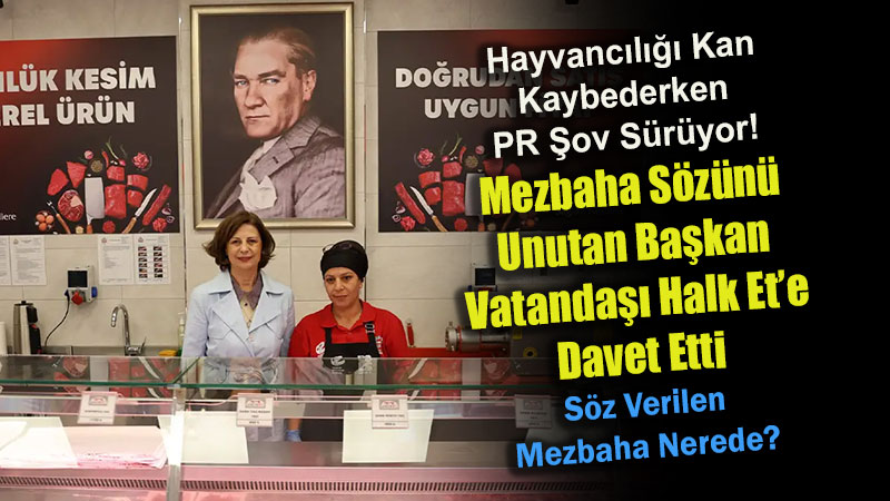 �reticiye Mezbaha S�z�n� Tutamayan �nl�ce�den Sat�� Tesisi Ziyareti: Kesimhane Var M� Ki Et Olsun?