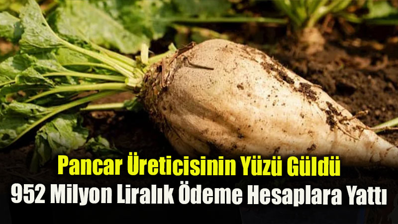 Yumakl�: 