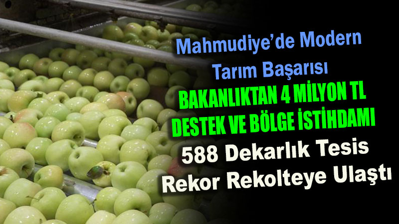 Mahmudiye�den D�nya Sofralar�na: 5 Bin Ton Kapasiteli So�uk Hava Deposu Ve Dev �hracat
