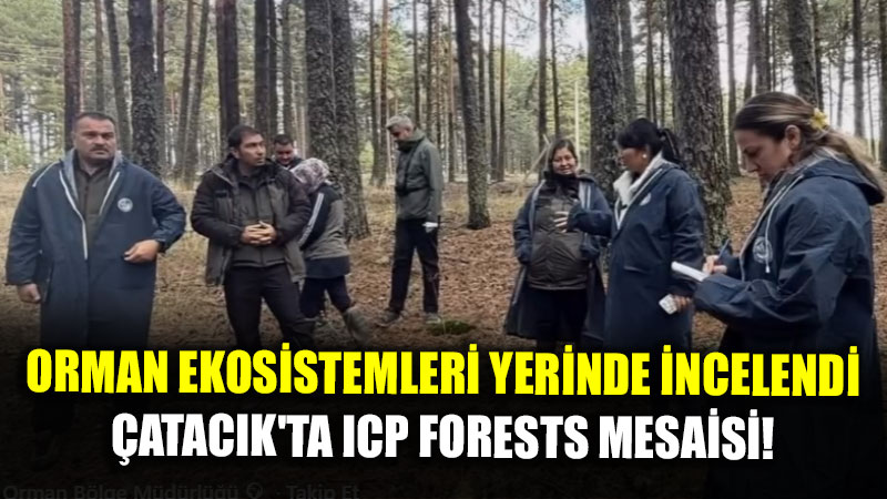 Mihal����k�ta S�rd�r�lebilir Ormanc�l�k Ad�m�: ICP Forests �al��malar� Tamamland�