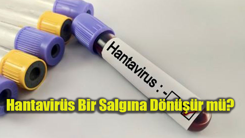 Hantavir�s Bir Salg�na D�n���r m�? 