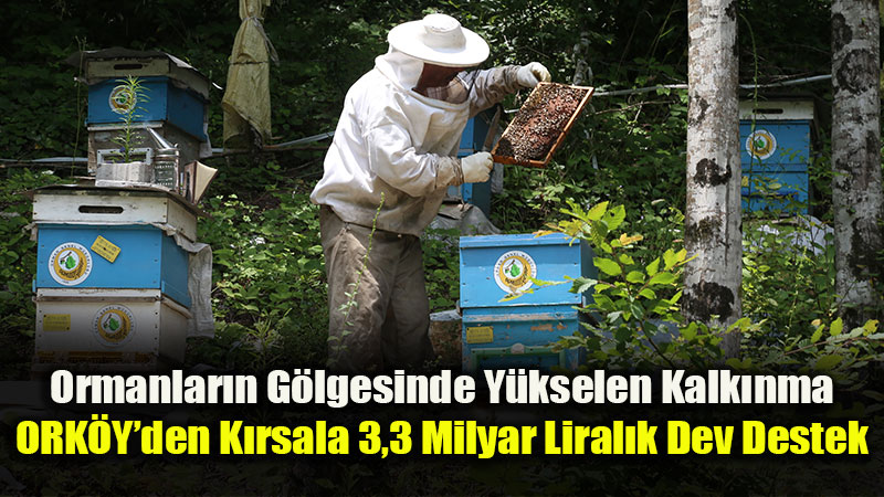 ORK�Y�den Orman K�yl�s�ne 3,3 Milyar Liral�k Can Suyu