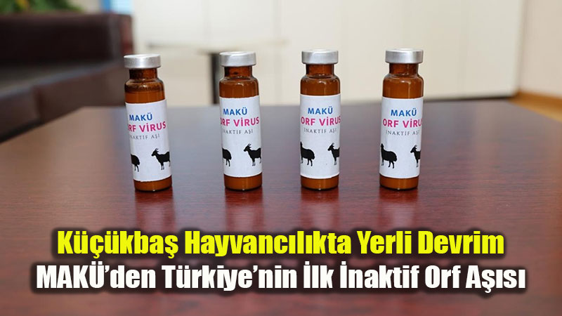 Yerli Bilimden K�rsala Kalkan: MAKܒden K���kba� Hayvanc�l��a �lk �naktif A��