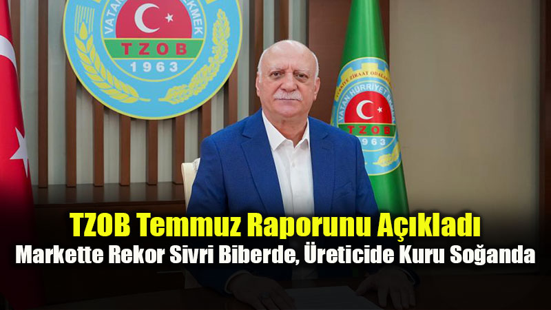 Temmuz Ay� G�da Bilan�osu: Karpuz D����te, Sivri Biber Y�kseli�te