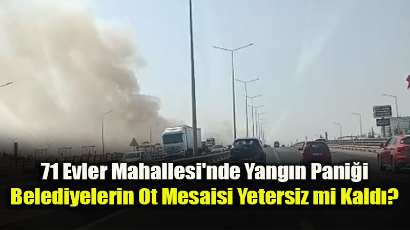 Eski�ehir�de Temizlenmeyen Otluk Alanlar Yan�yor: Vatanda��n Korktu�u Ba��na Geldi!