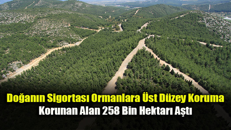 Erozyon ve Kurakl�kla M�cadelede Dev Hamle: 5 Yeni Muhafaza Orman� �lan Edildi