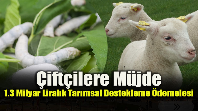 Bakan Yumakl� Duyurdu: 1 Milyar 363 Milyon TL'lik Tar�msal Destek Ba�lad�